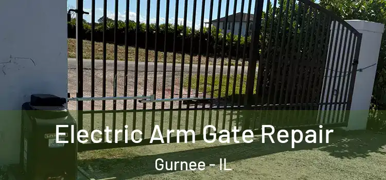 Electric Arm Gate Repair Gurnee - IL