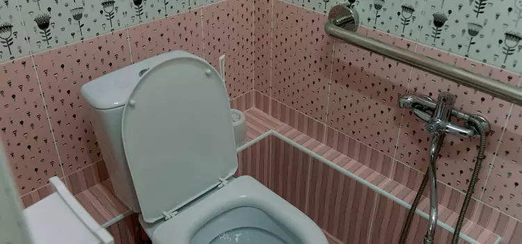 Meeting Diverse Needs With Accessible Restroom Solutions in Gurnee, IL